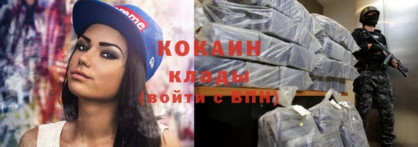 шишки Белоозёрский