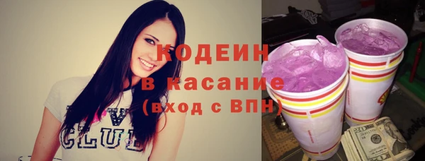 apvp Бородино